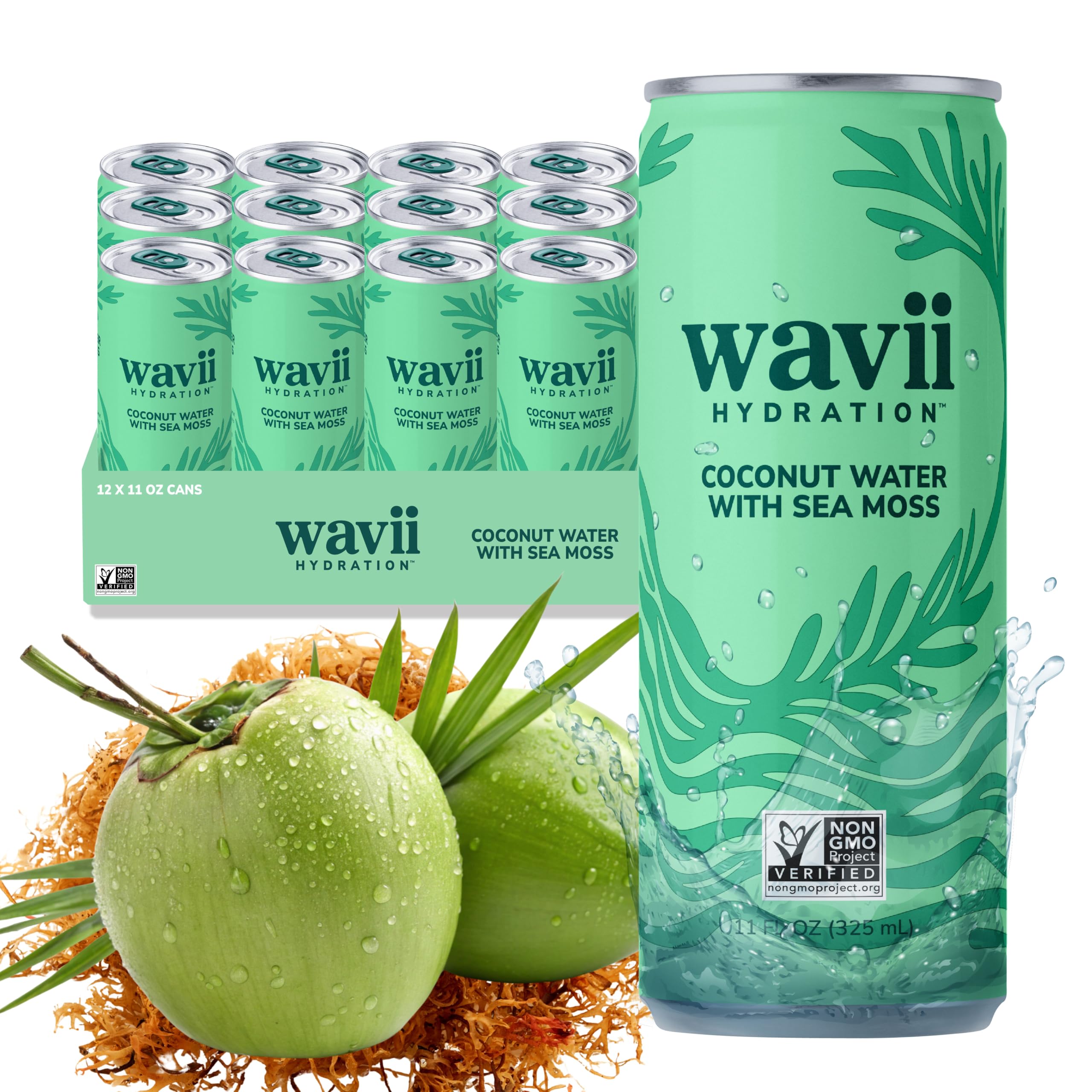 Wavii Hydration coconut water with sea moss can front view, refreshing tropical profile