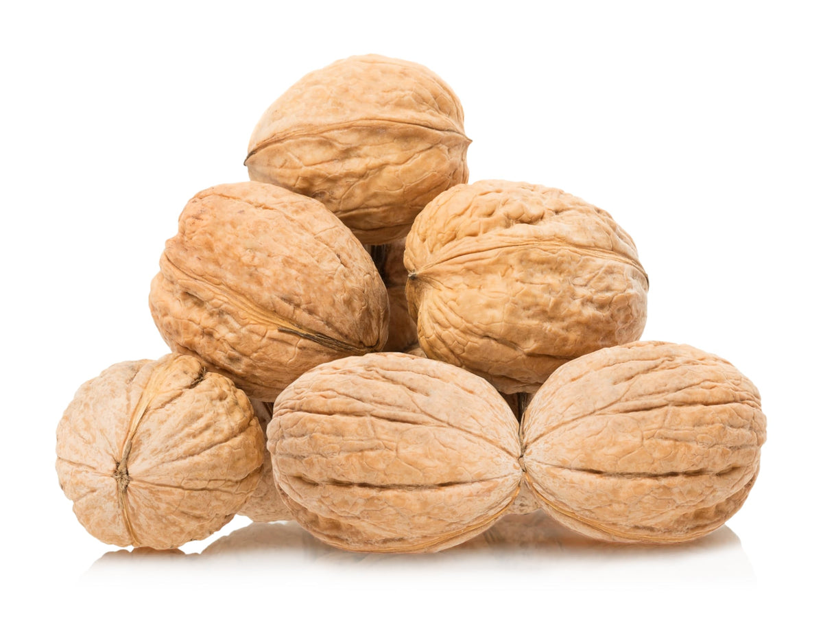 We Got Nuts raw California walnuts in shell, front view, ready for cracking.