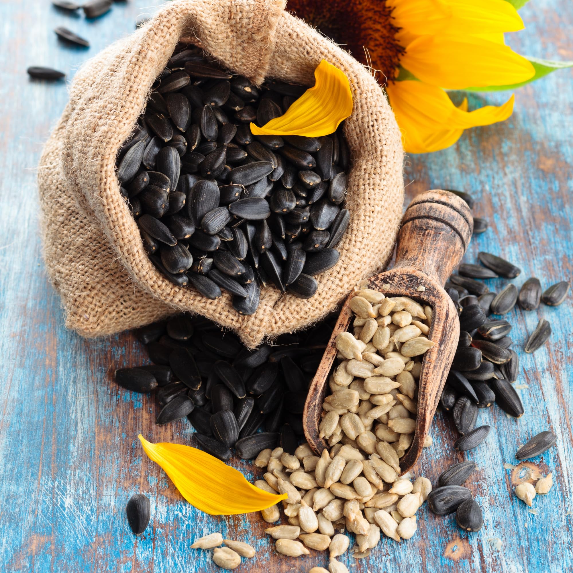 We Got Nuts seeds add crunch to bowls and snacks.