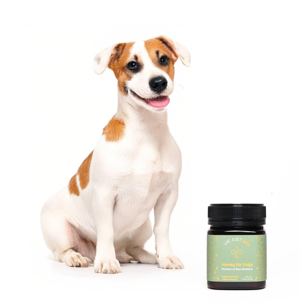 We Just Bee Manuka Honey coat glow highlights skin and coat nourishment