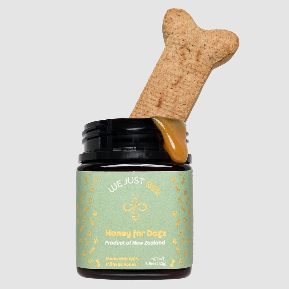We Just Bee Manuka Honey daily topping drizzle over kibble