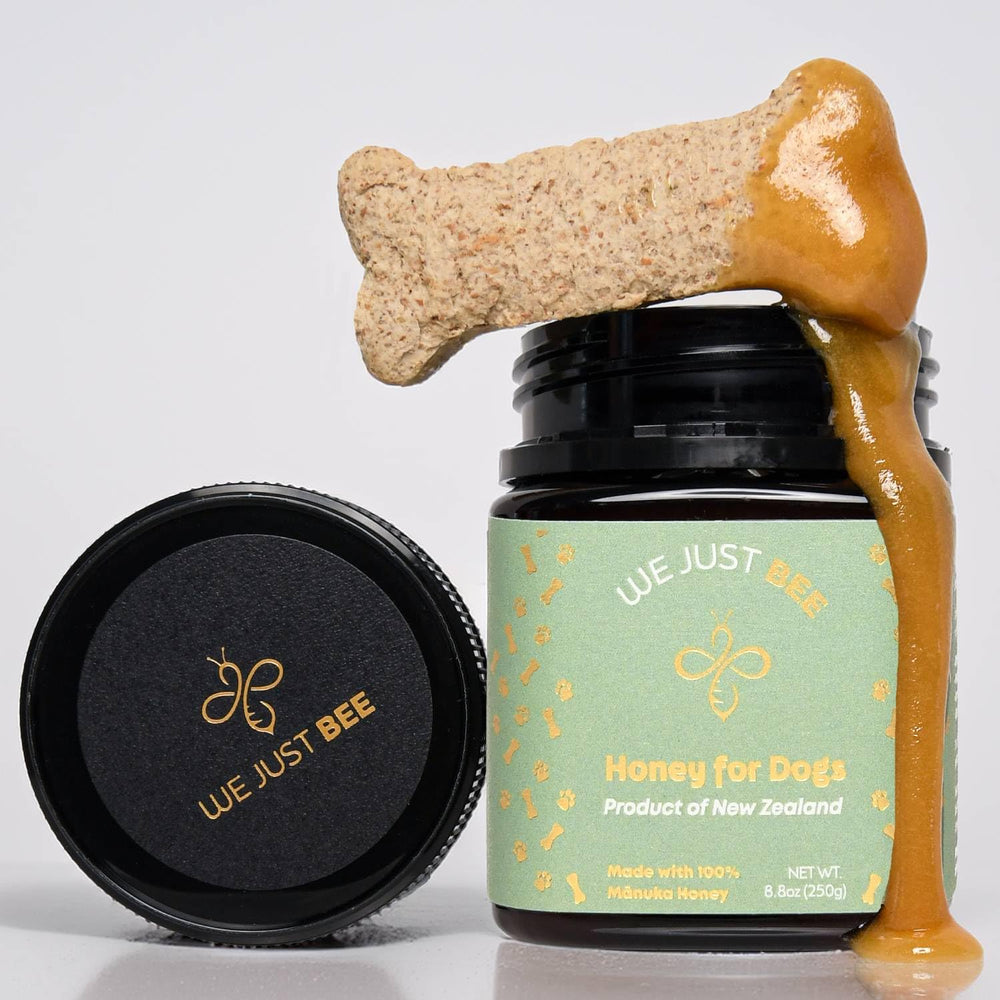 We Just Bee Manuka Honey spoon serve for easy daily topping