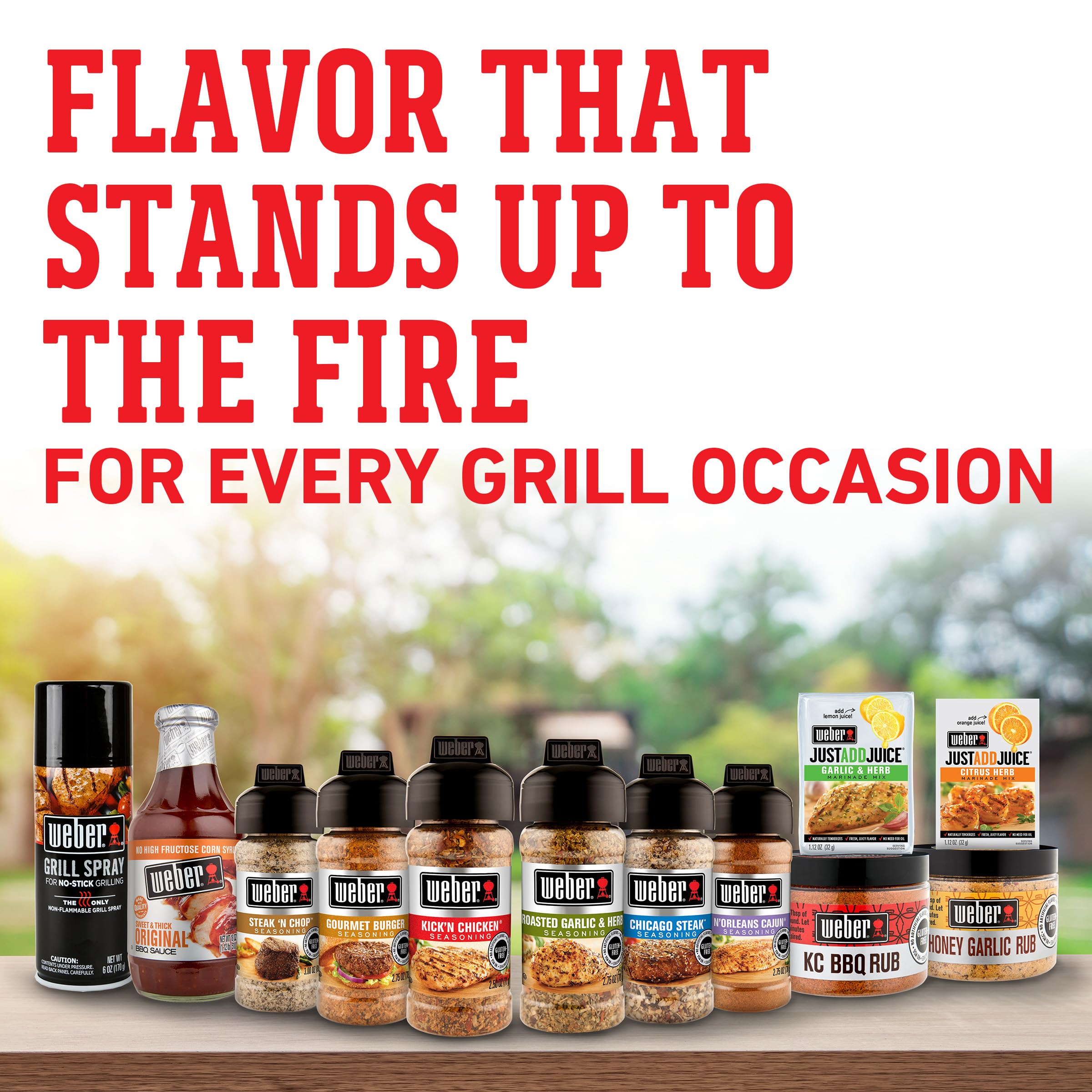 Weber Chicago Steak Seasoning packaging close-up highlighting compact size