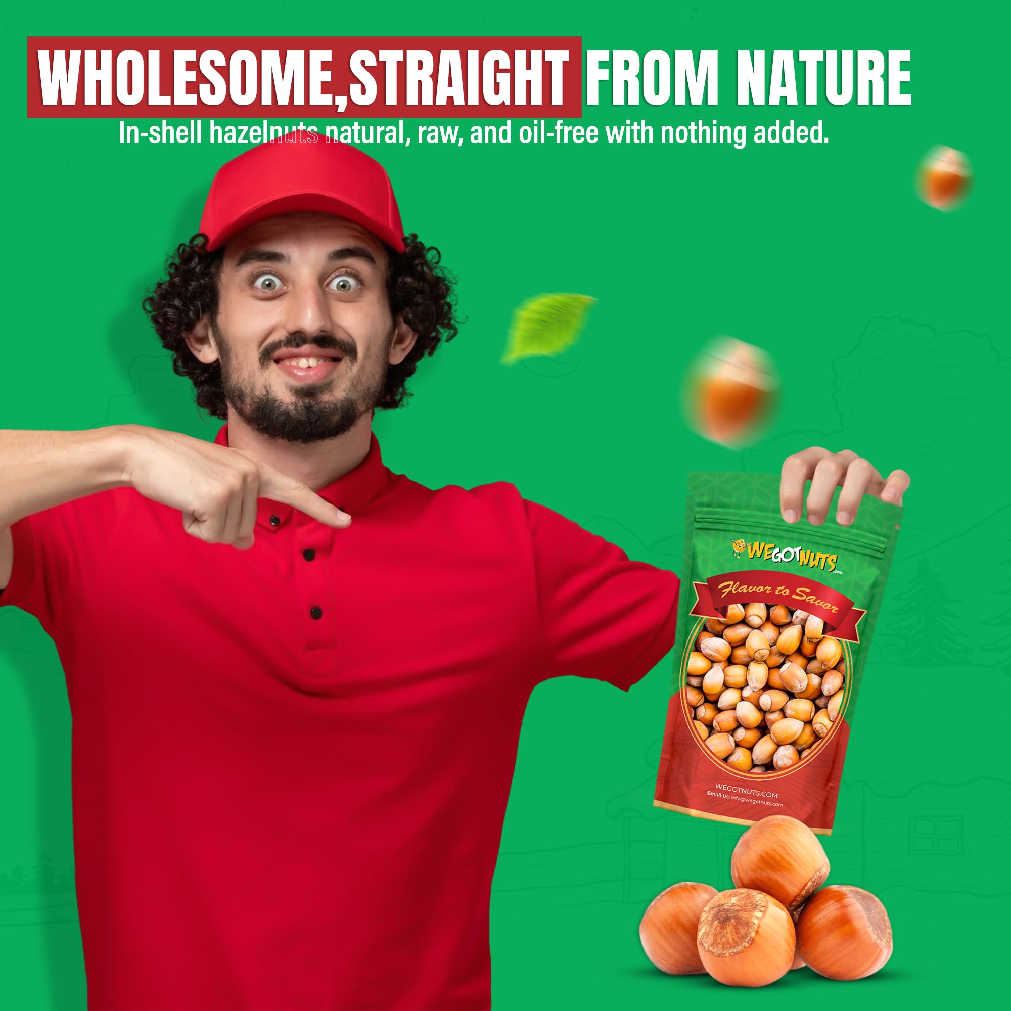 We Got Nuts hazelnuts in shell natural, perfect for roasting or baking
