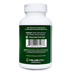 WELdental Xylitol Mints Spearmint travel tin for on-the-go freshness.