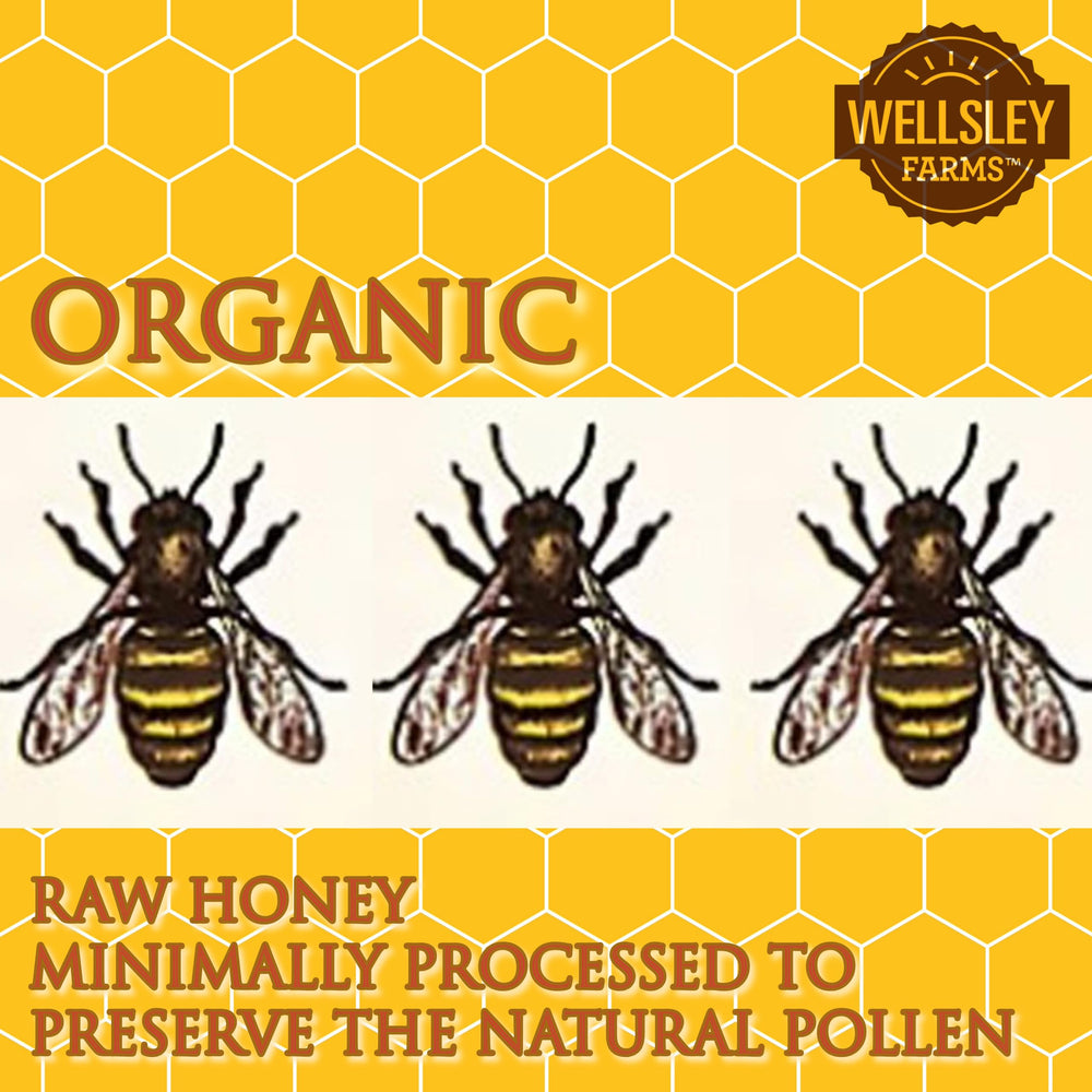 Wellsley Farms Organic Raw Honey in BPA-free packaging for easy daily use