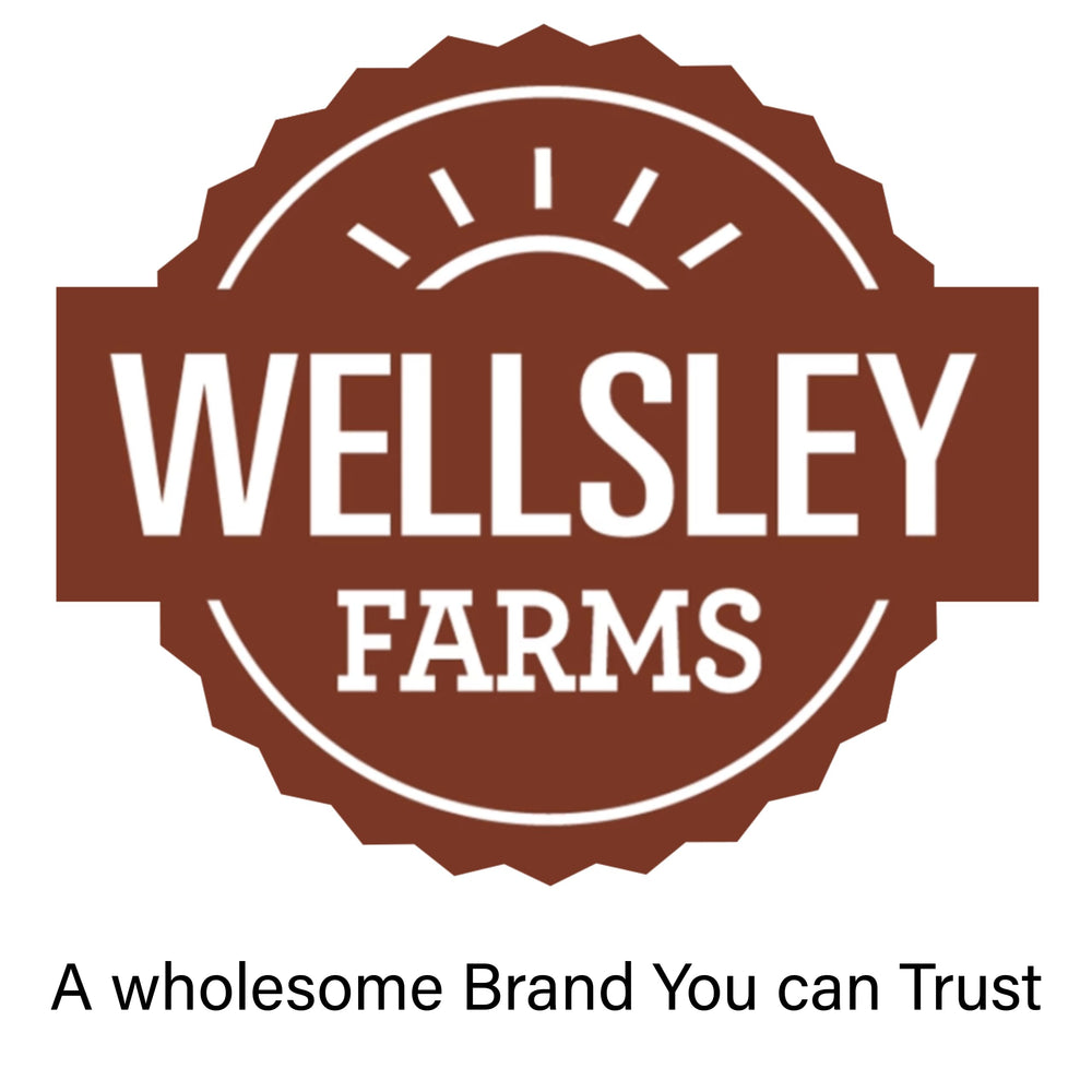 Wellsley Farms portable snack pack, perfect for on-the-go energy between tasks.
