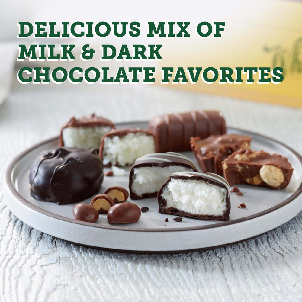 Milk chocolate coconut cream cross-section showing tropical filling