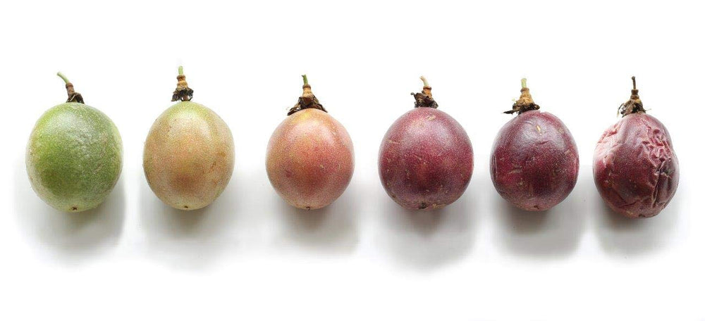 Open bag shows easy-serving, convenient Wholeberry snacking.