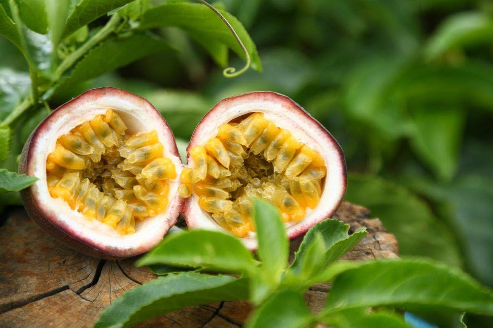 Wholeberry maracuja pieces as a dessert topping for tropical flair.