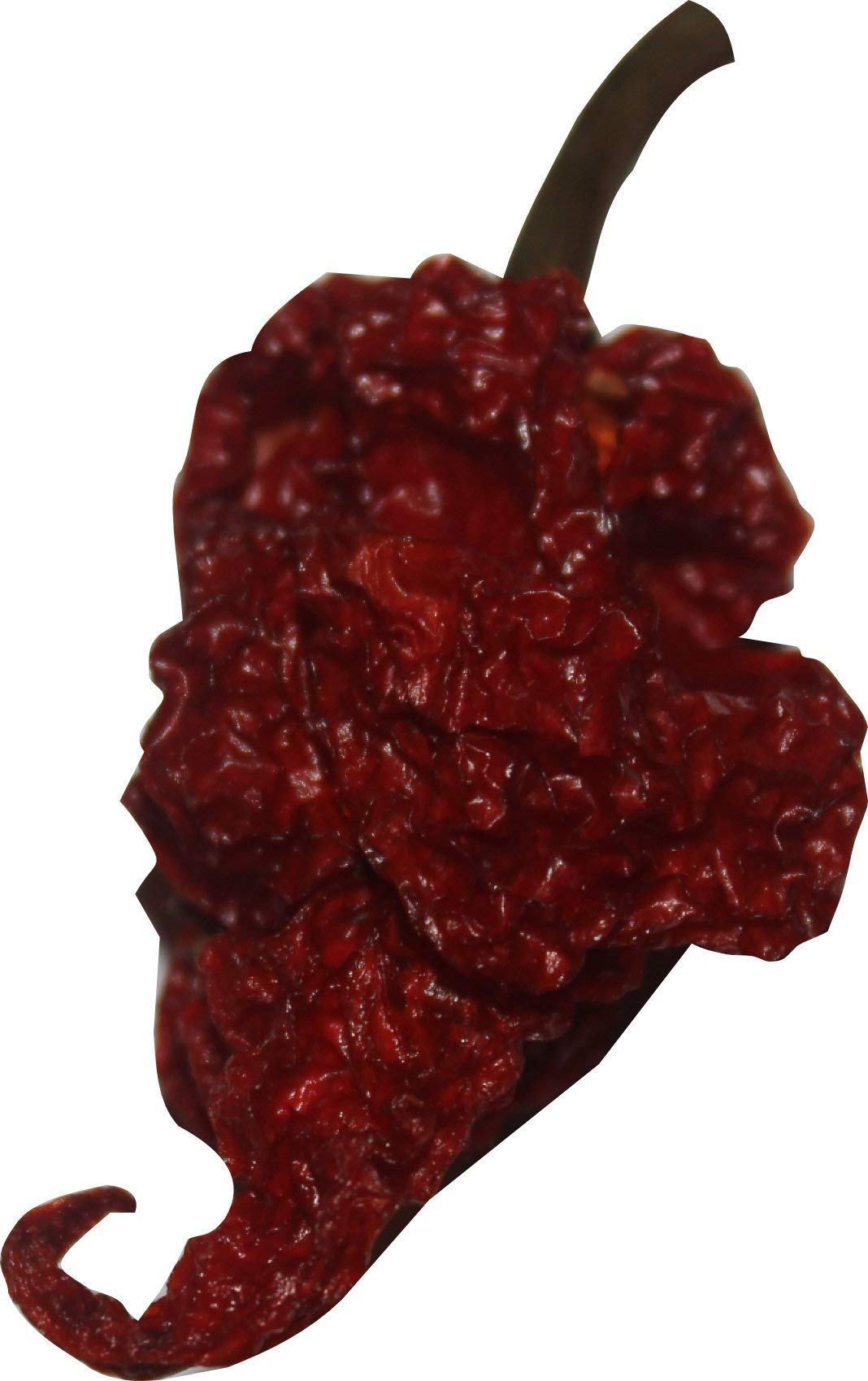 Wicked Reaper Carolina Reaper pods drying display, hand-selected for quality.