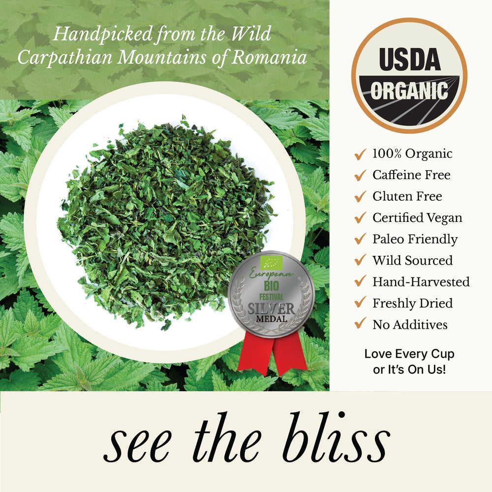 Close up Wild Bliss nettle leaves harvested in Romania