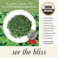 Close up Wild Bliss nettle leaves harvested in Romania