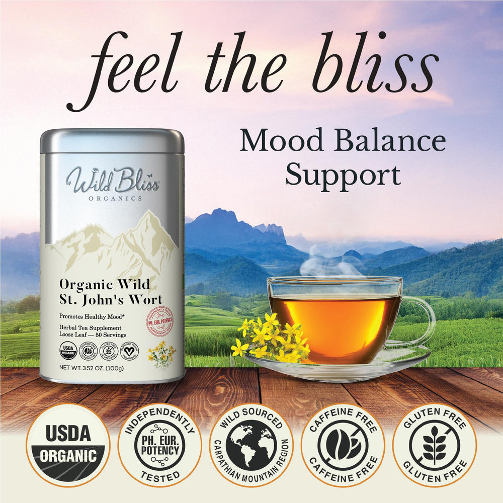 Wild Bliss St John's Wort Tea brew-steep close-up for calm focus