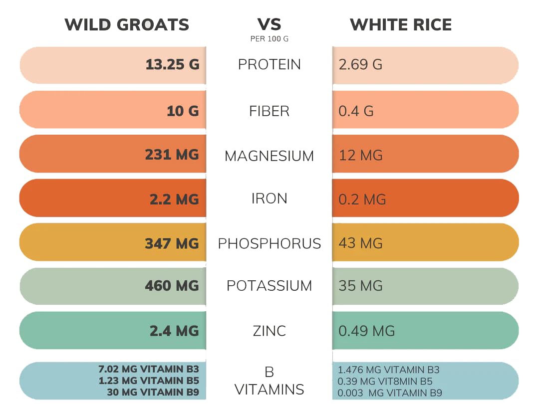 Wild Groats sprouting buckwheat—fresh greens and nutrients from sprouts.