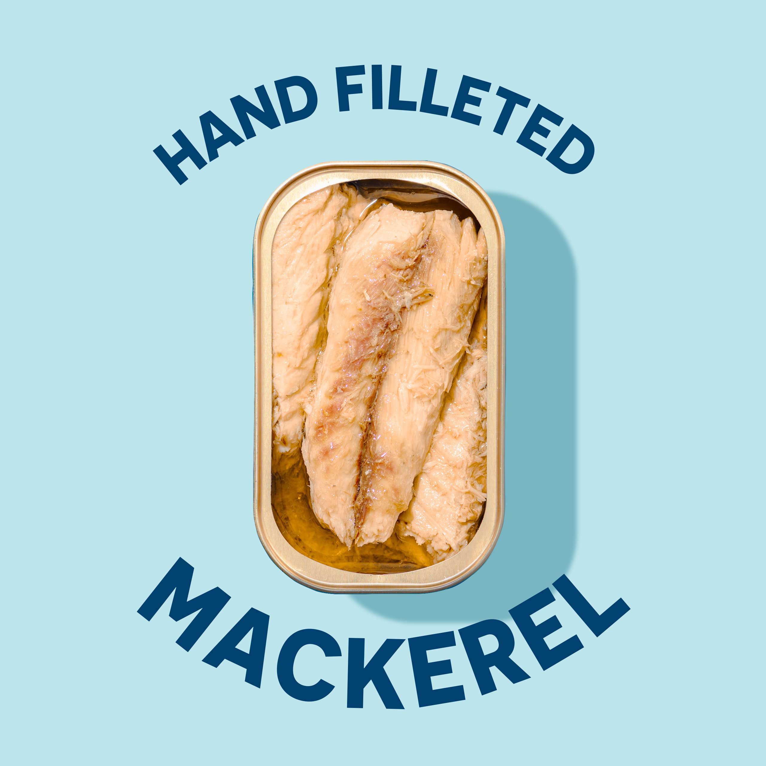 Wild Planet mackerel fillets served on a fresh salad with greens.