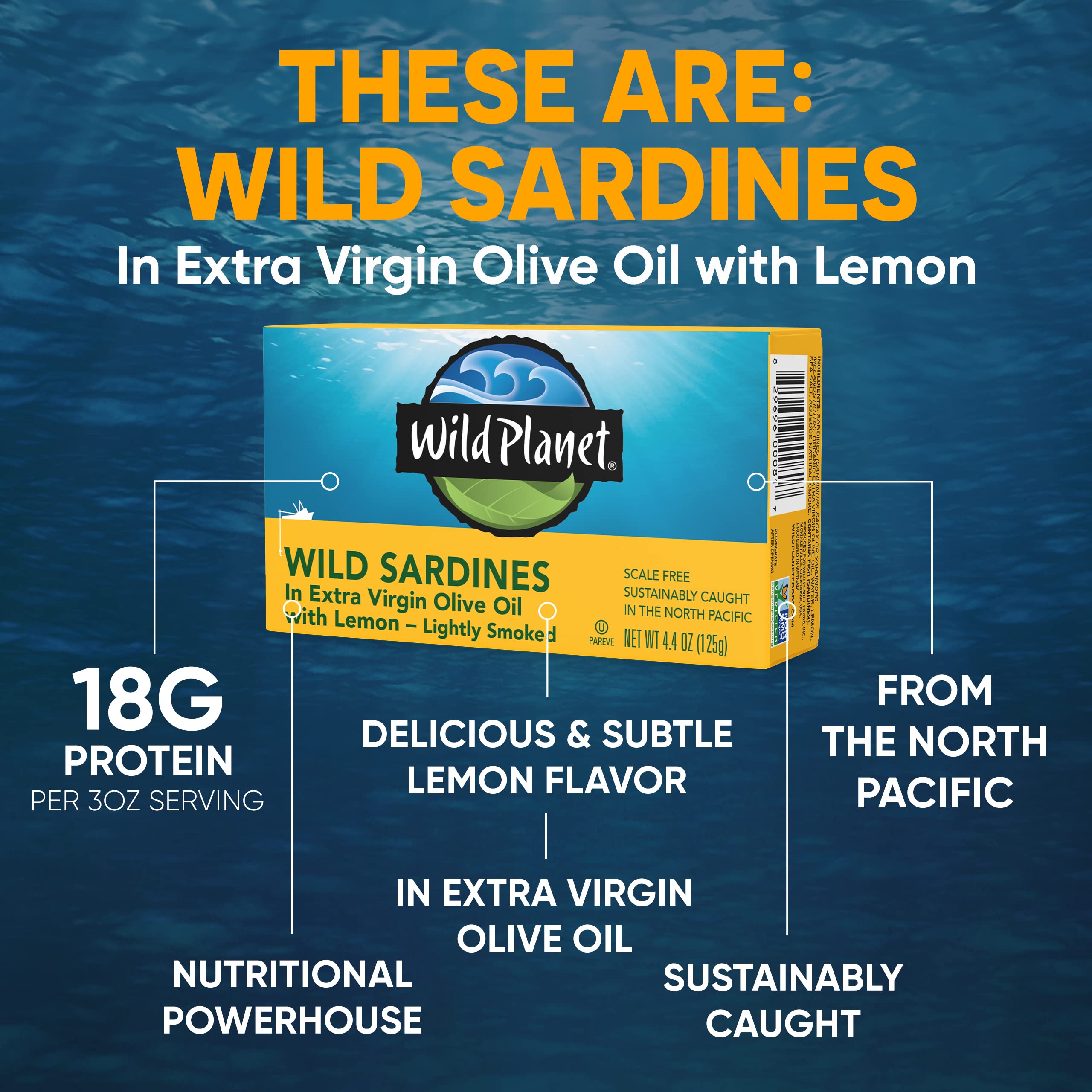 Sustainably sourced Wild Planet sardines from the North Pacific