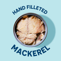 Wild Planet skin-on, bone-free mackerel close-up highlighting texture.