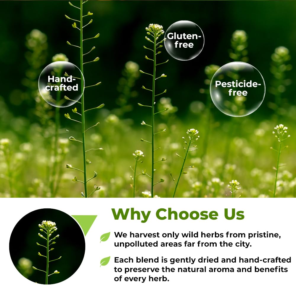 WildField Herbs brand logo on pack signals quality sourcing.