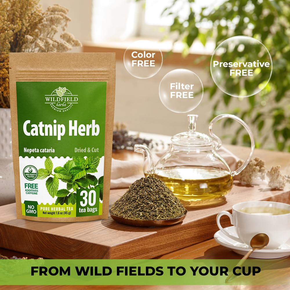 Wildfield Herbs Catnip Tea infuser bag ready for quick infusion.