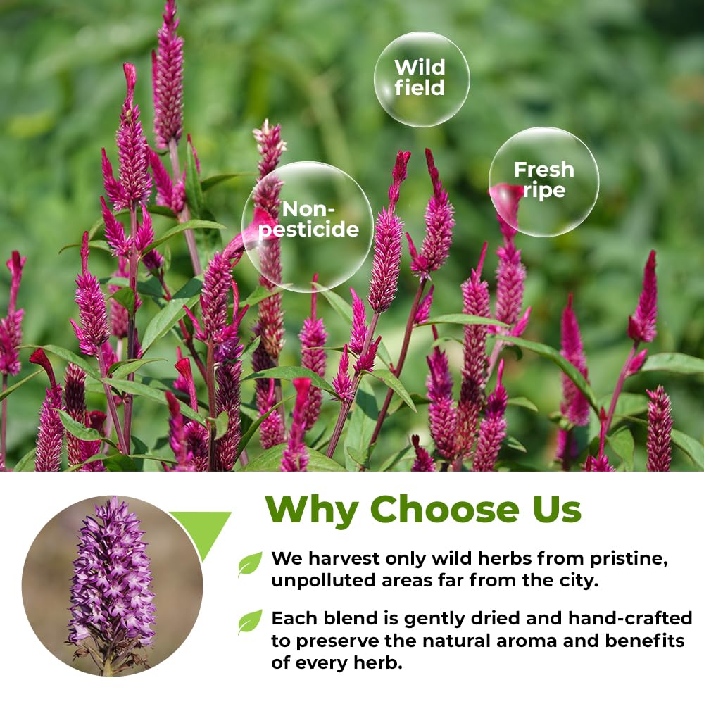 WildField Herbs cup-ready infusion invites a calming moment with each brew.