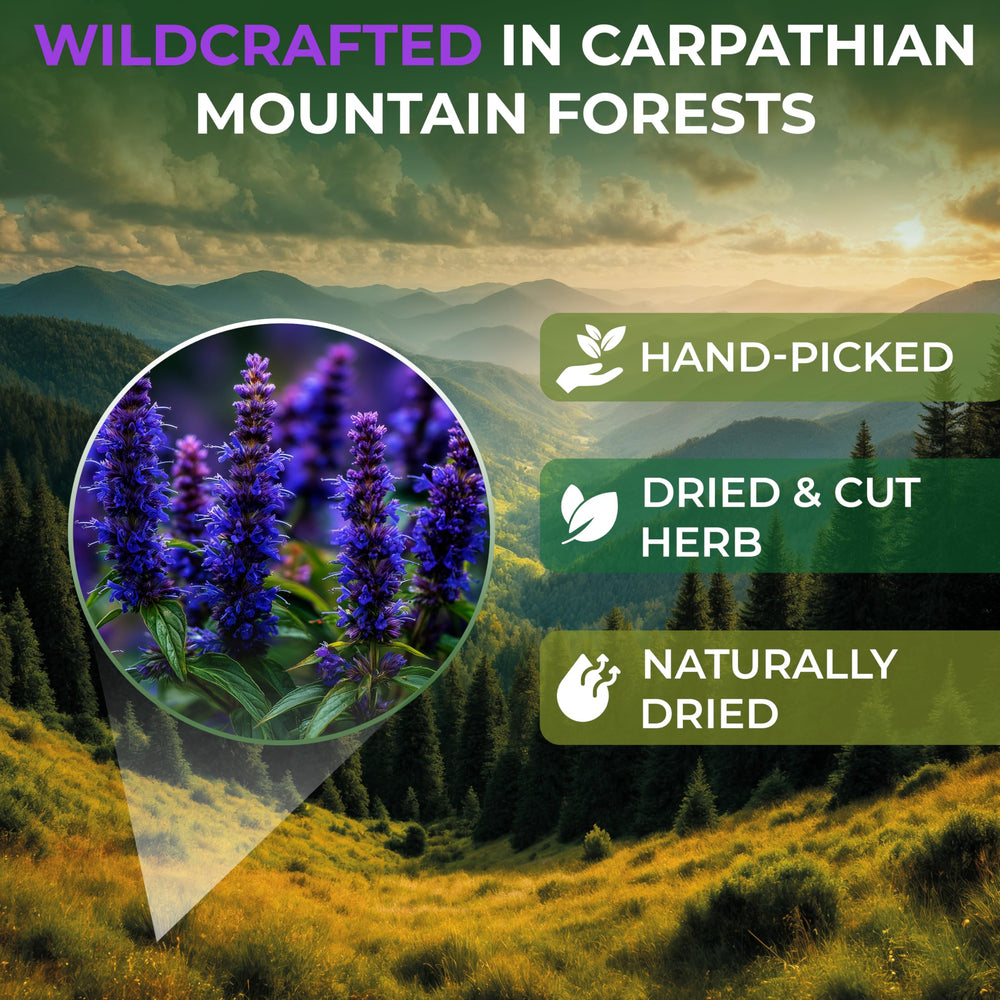 Wildfield Herbs hyssop tea infusion in cup, inviting fragrant aroma