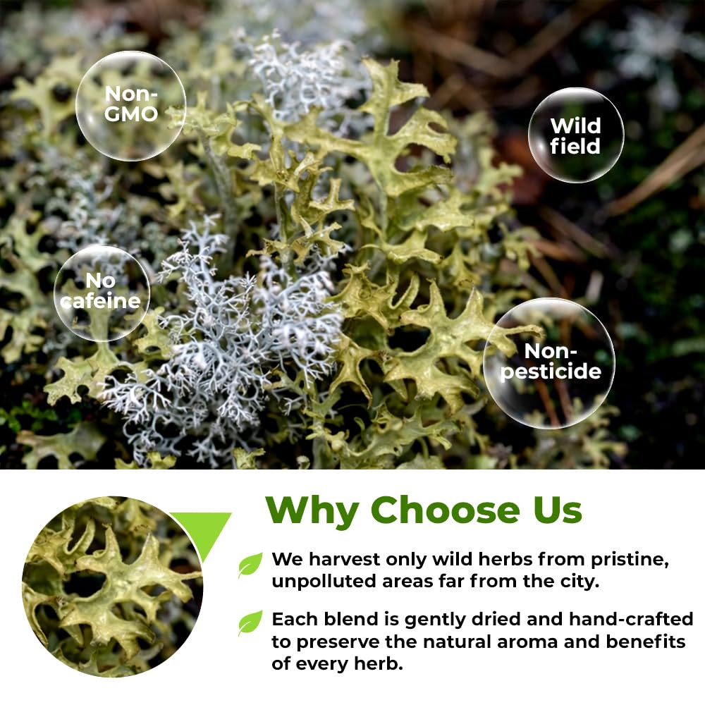 Airtight storage tin keeps Wildfield Herbs Icelandic Moss Tea aroma fresh.