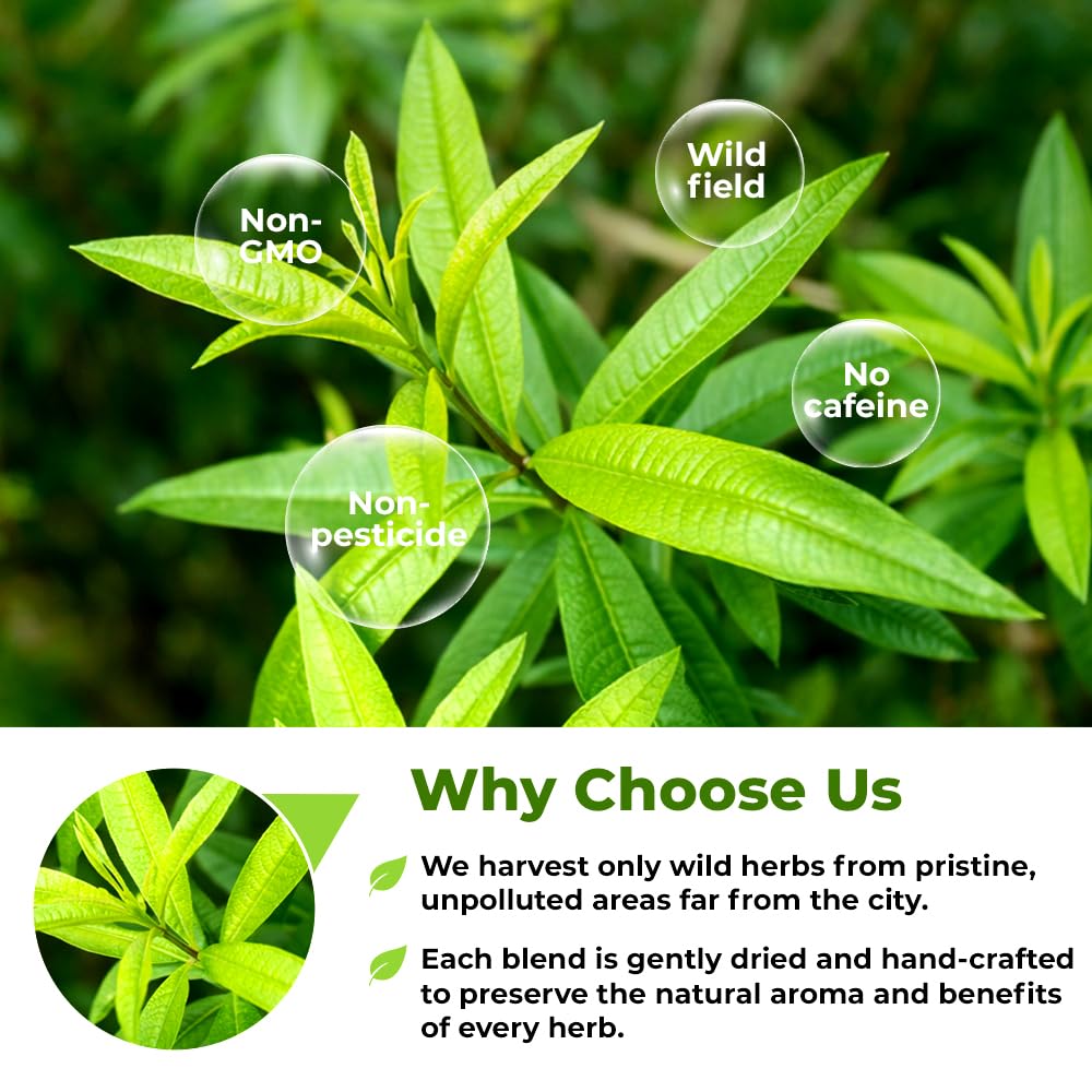 Wildfield Herbs Lemon Verbena citrus scent closeup emphasizing flavor potential