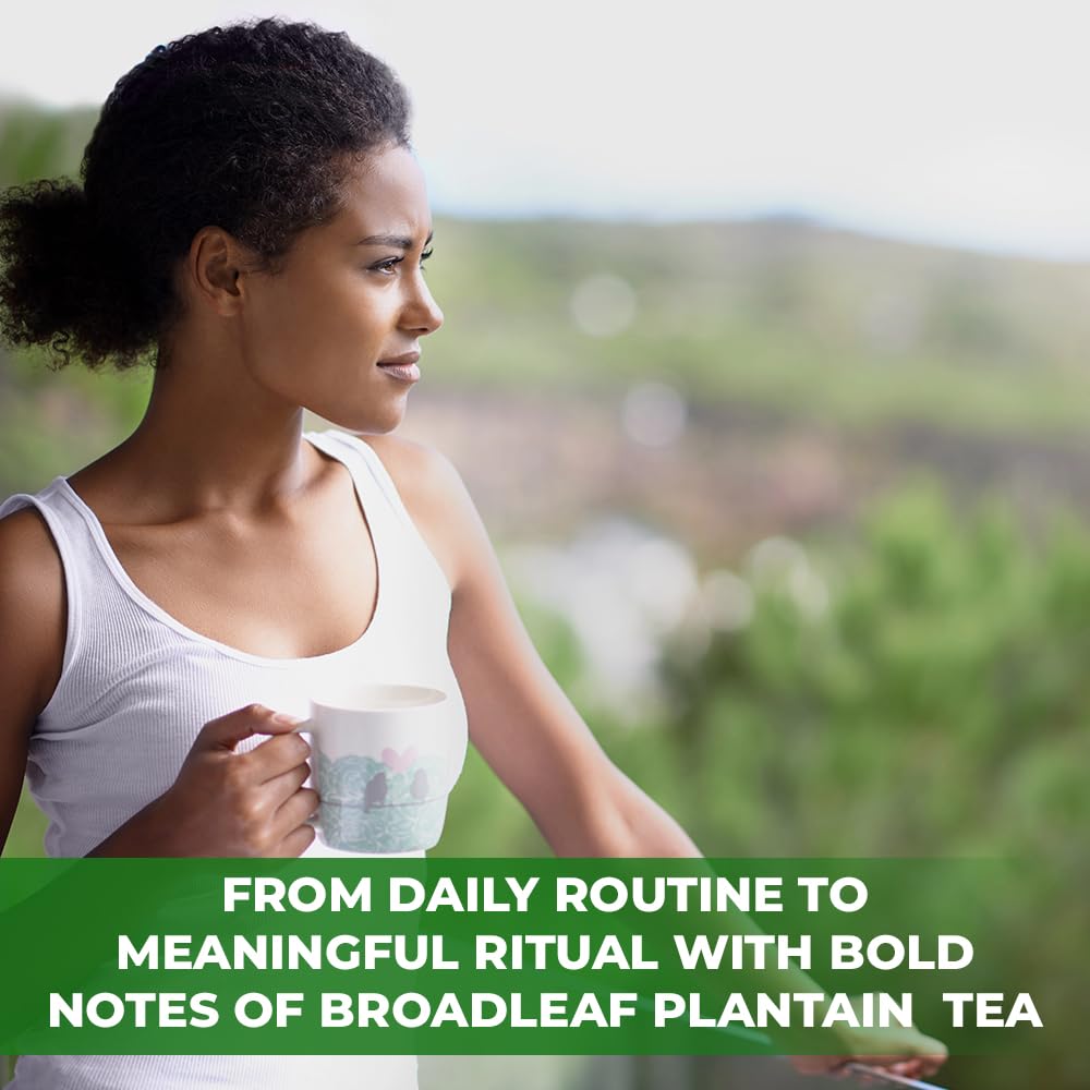 Wildfield Herbs Plantain Tea on a kitchen shelf, inviting a calming break.