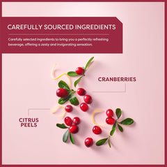 Wissotzky Cranberry Splash tea box packaging preserves freshness