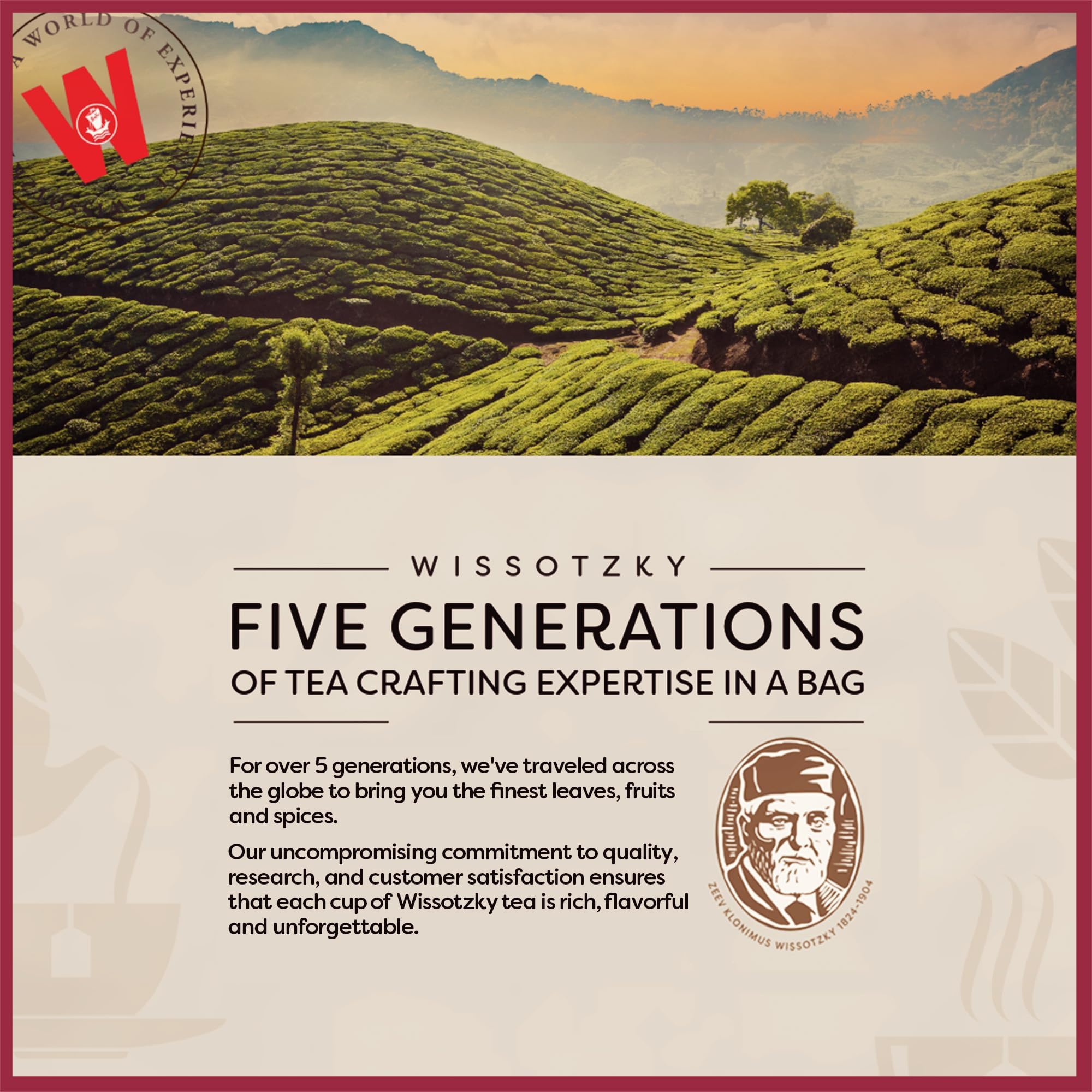 Wissotzky Cranberry Splash tea pour releasing inviting aroma