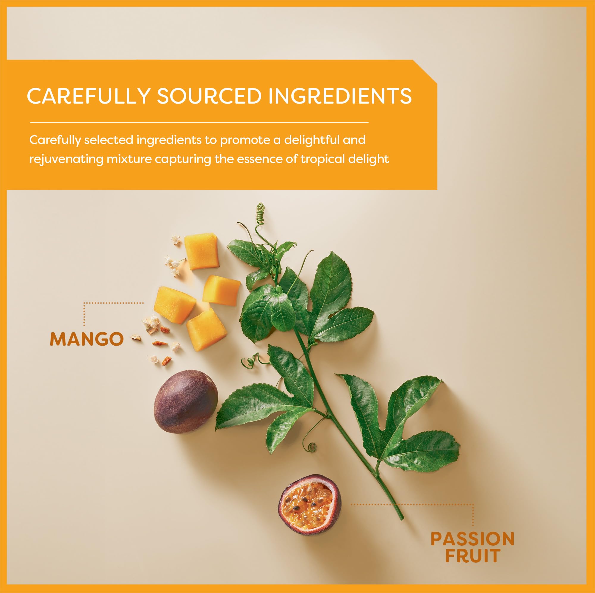 Wissotzky Mango & Passion Fruit tea foil pouch preserves freshness and aroma