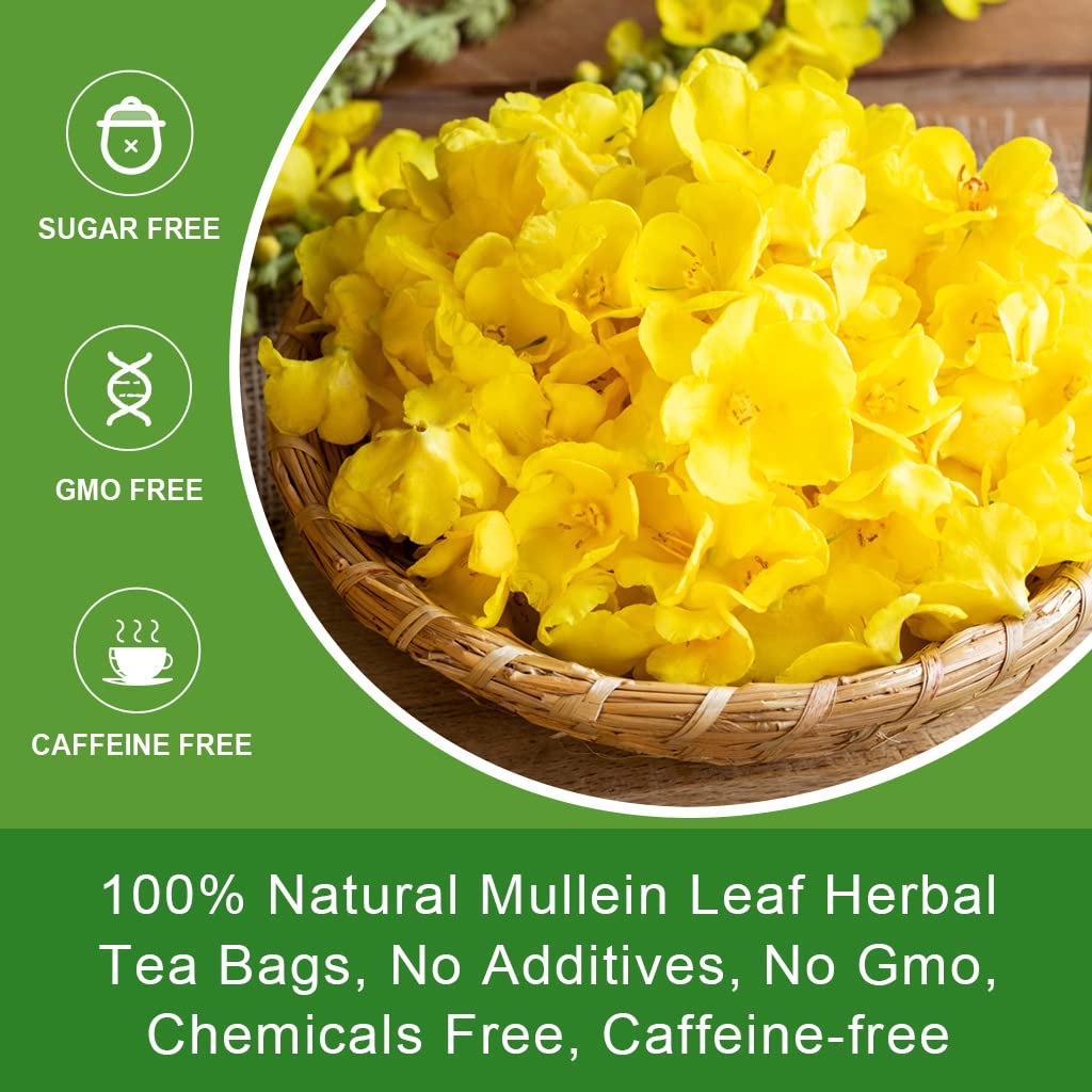 Steaming mug of mullein tea with grassy aroma and smooth taste