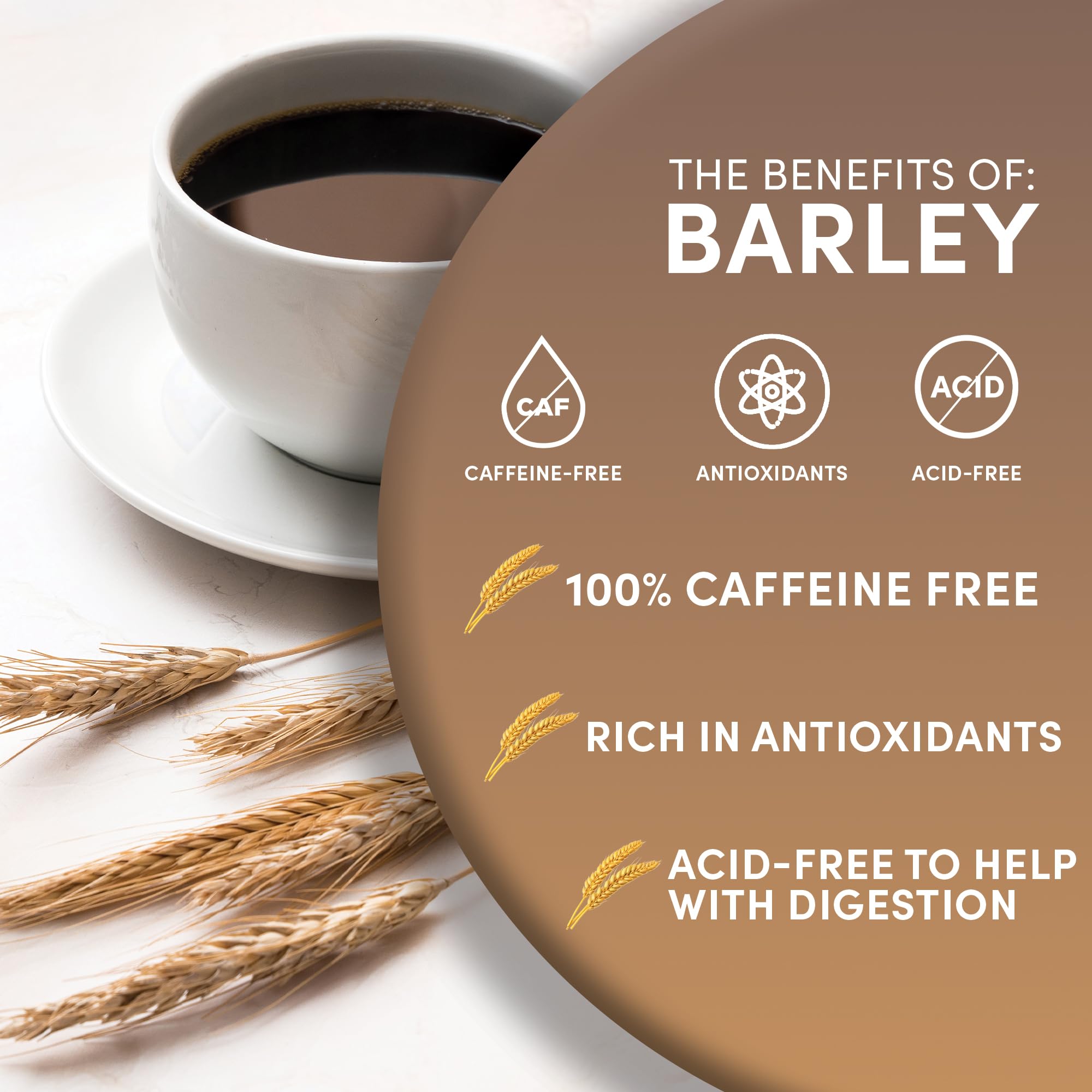 Worldwide Botanicals Barley cozy morning cappuccino visual suggests warmth.