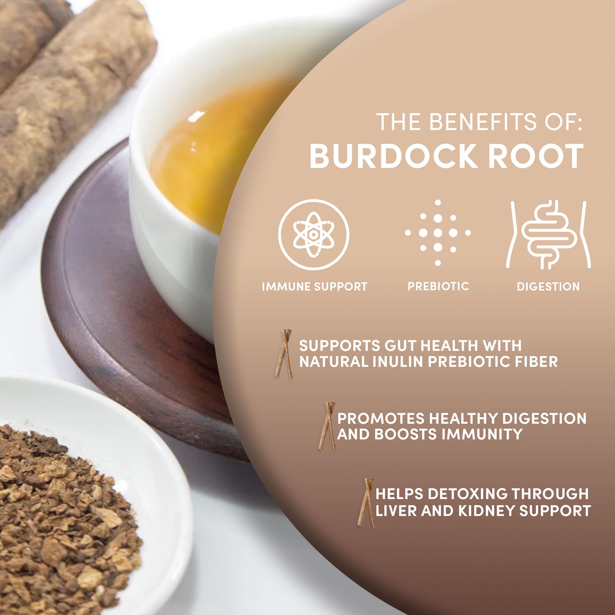 Worldwide Botanicals dried burdock root slices ready for stock or tea.