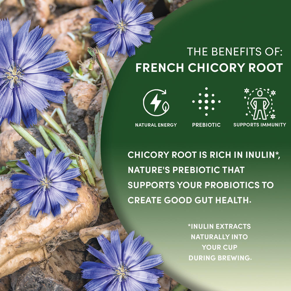 Worldwide Botanicals chicory root is caffeine-free and acid-free for gentle cups.