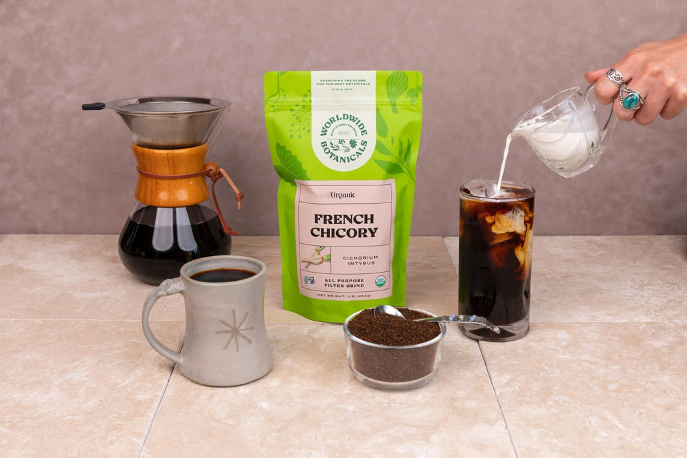 Worldwide Botanicals chicory root powder on kitchen counter scene