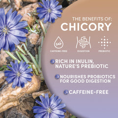 Worldwide Botanicals European-grown chicory roots roasted for rich flavor and aromatic notes.