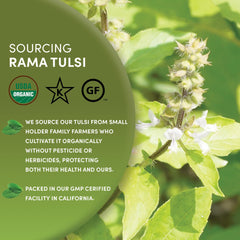 Worldwide Botanicals Fair Trade organic tulsi tea farmer community