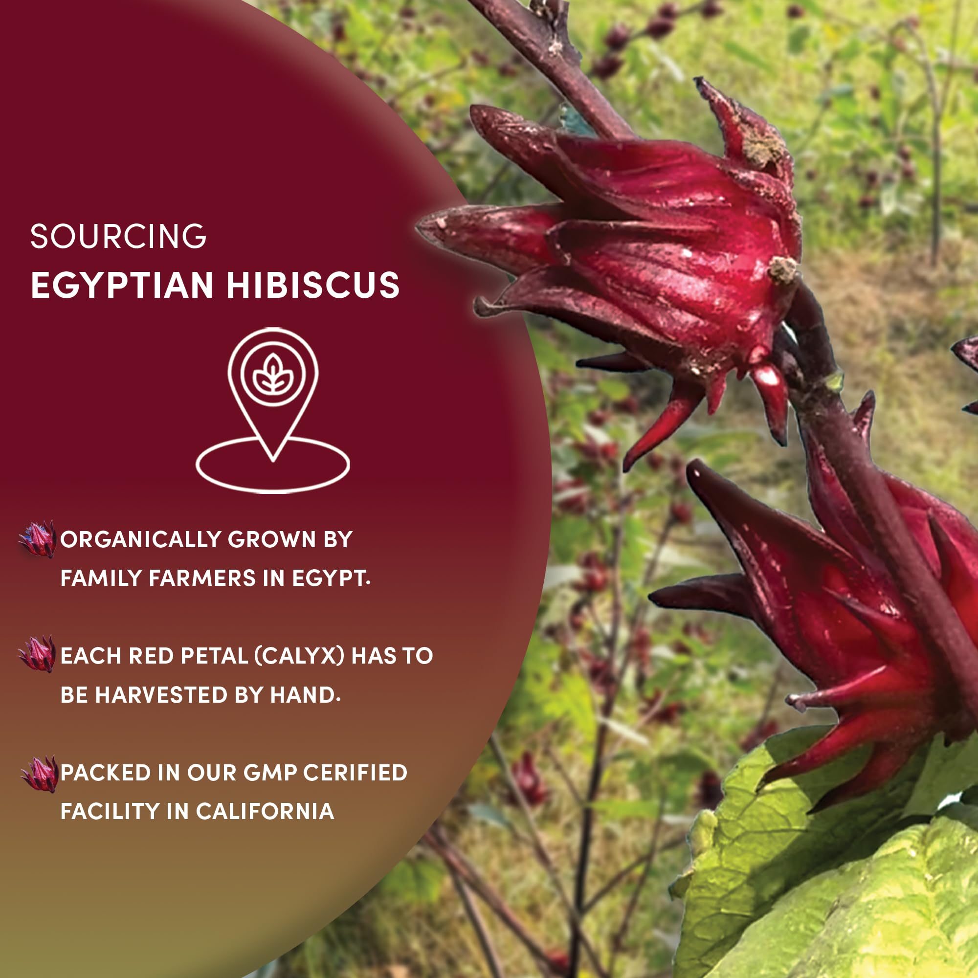 Worldwide Botanicals hibiscus tea iced in a glass, refreshing citrus-forward chill.