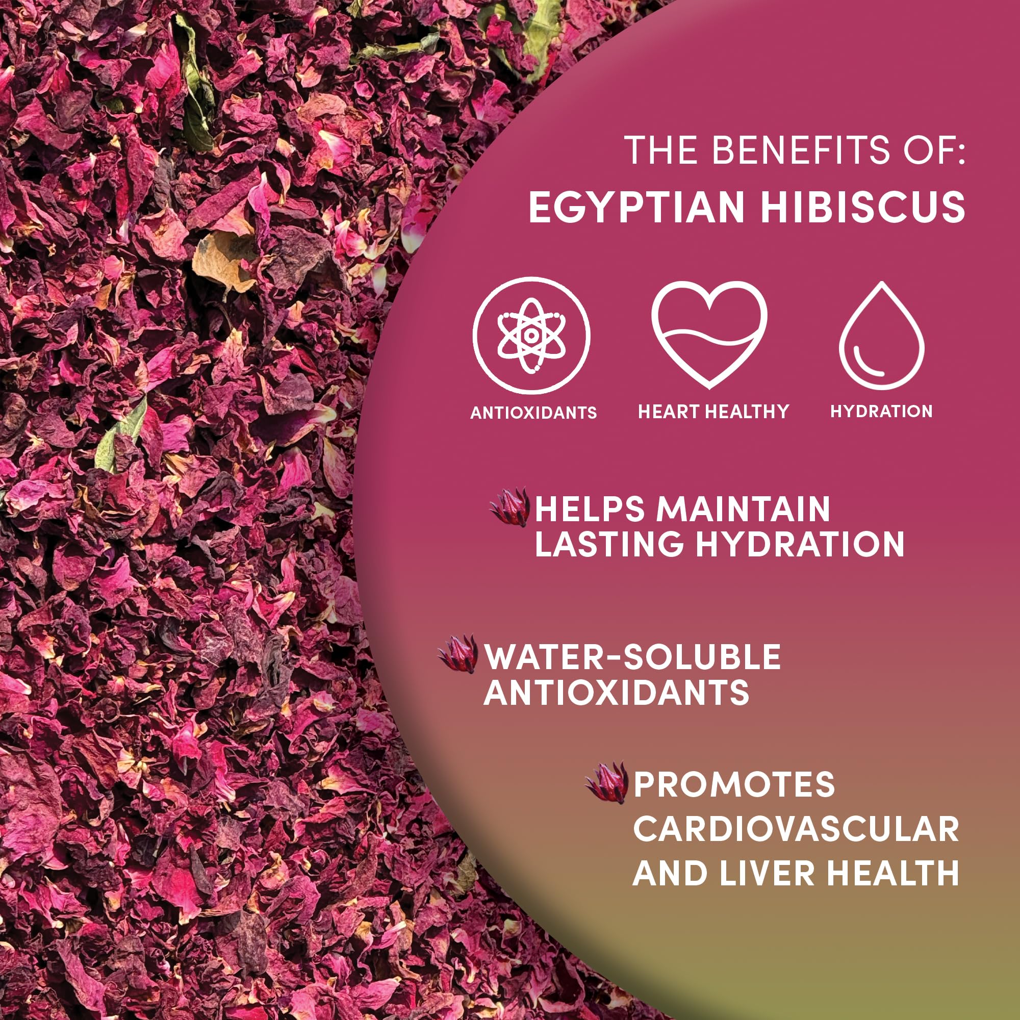 Worldwide Botanicals hibiscus tea served hot in a cup with lemon wheel.
