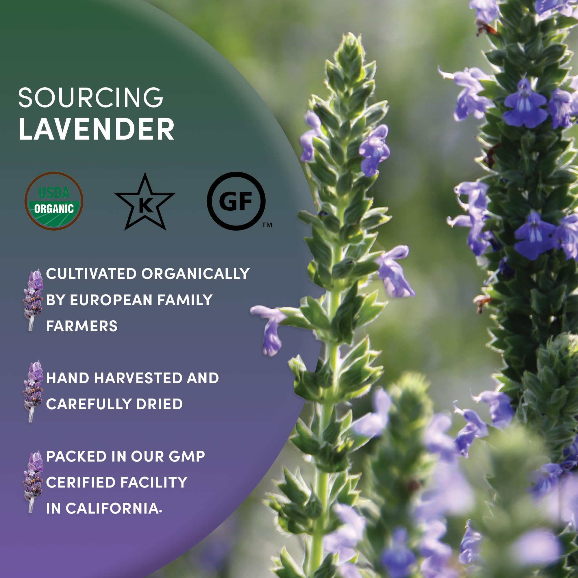 Worldwide Botanicals lavender eye pillow infused with calming lavender aroma