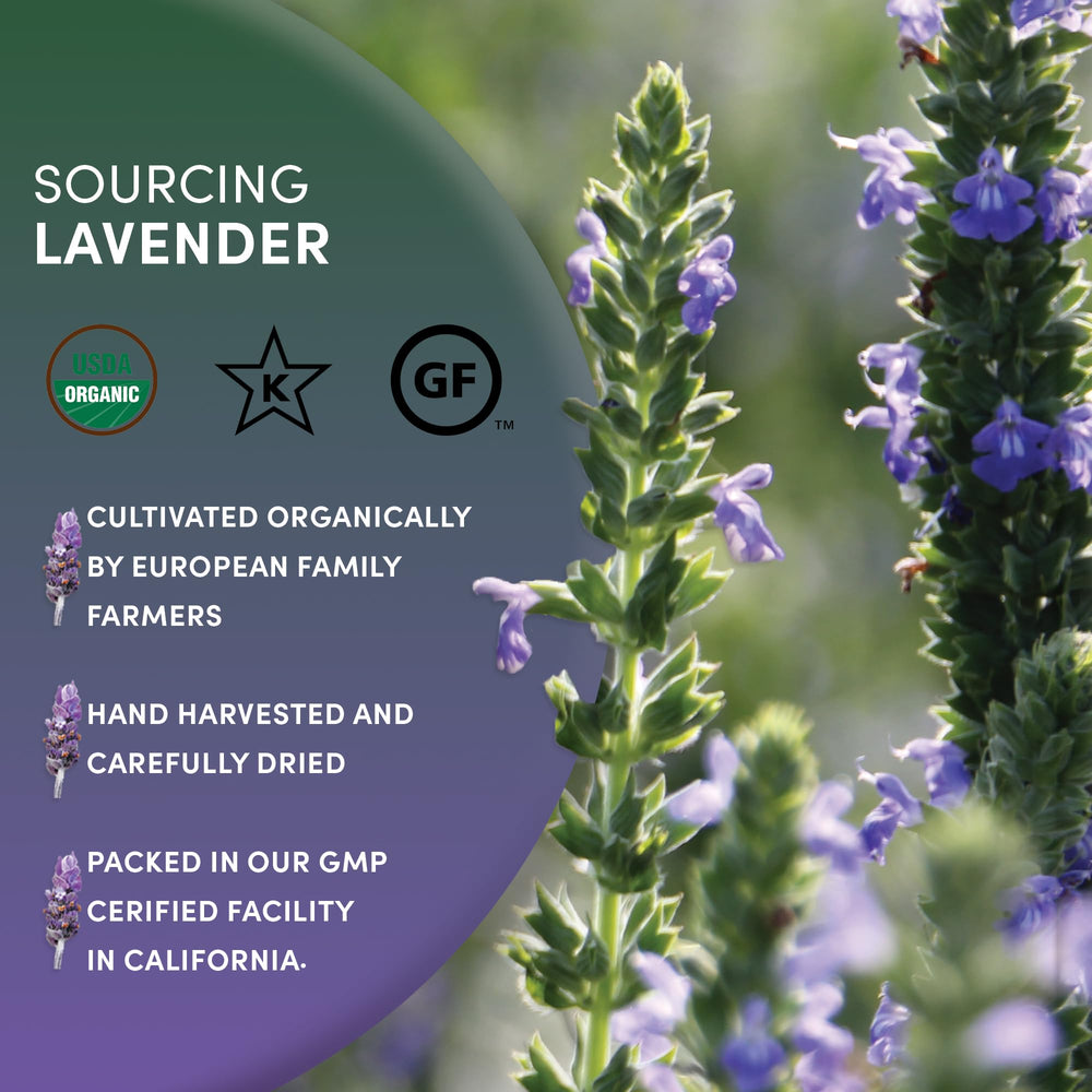 Worldwide Botanicals lavender eye pillow infused with calming lavender aroma