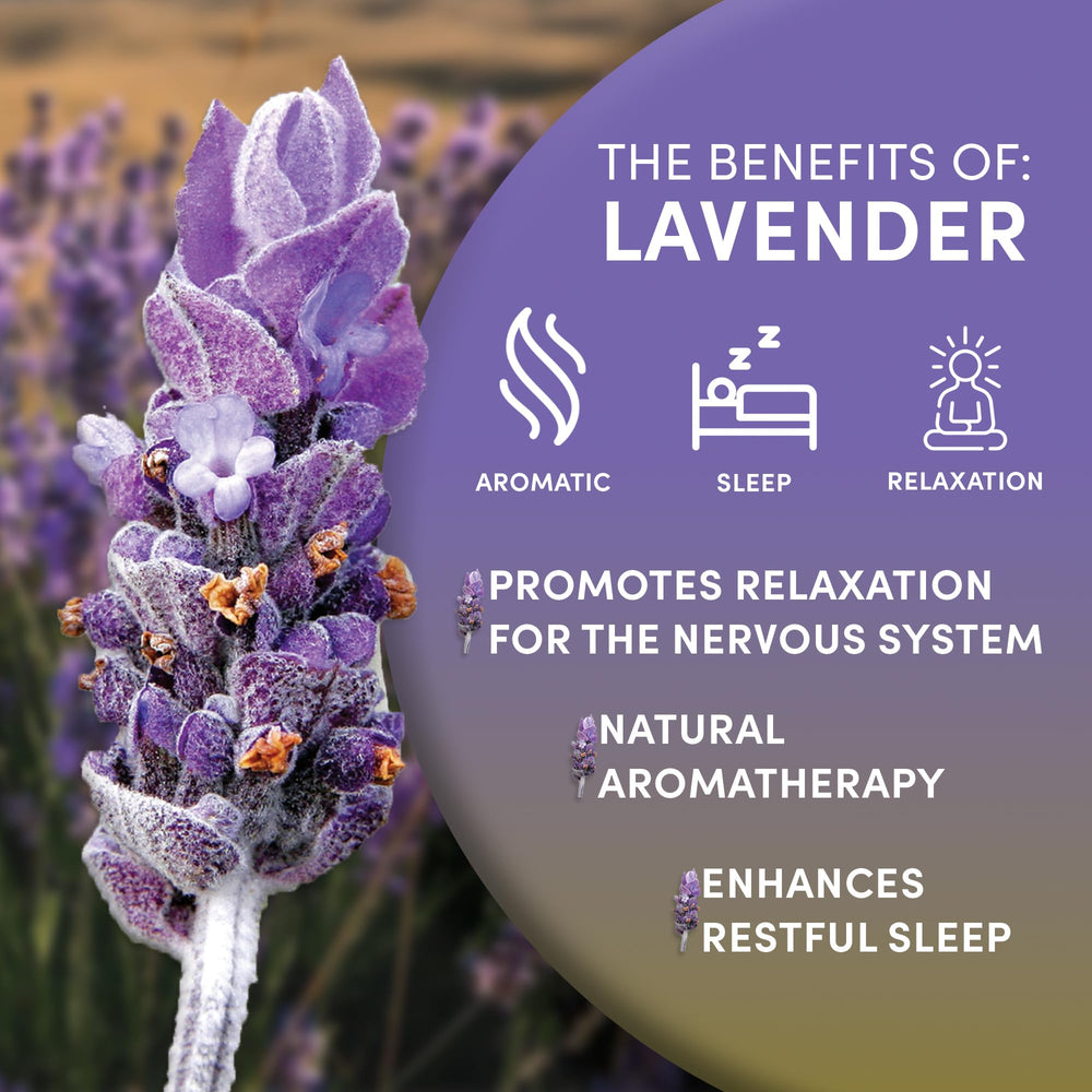 Worldwide Botanicals lavender tea blend for flavoring and subtle relaxing notes