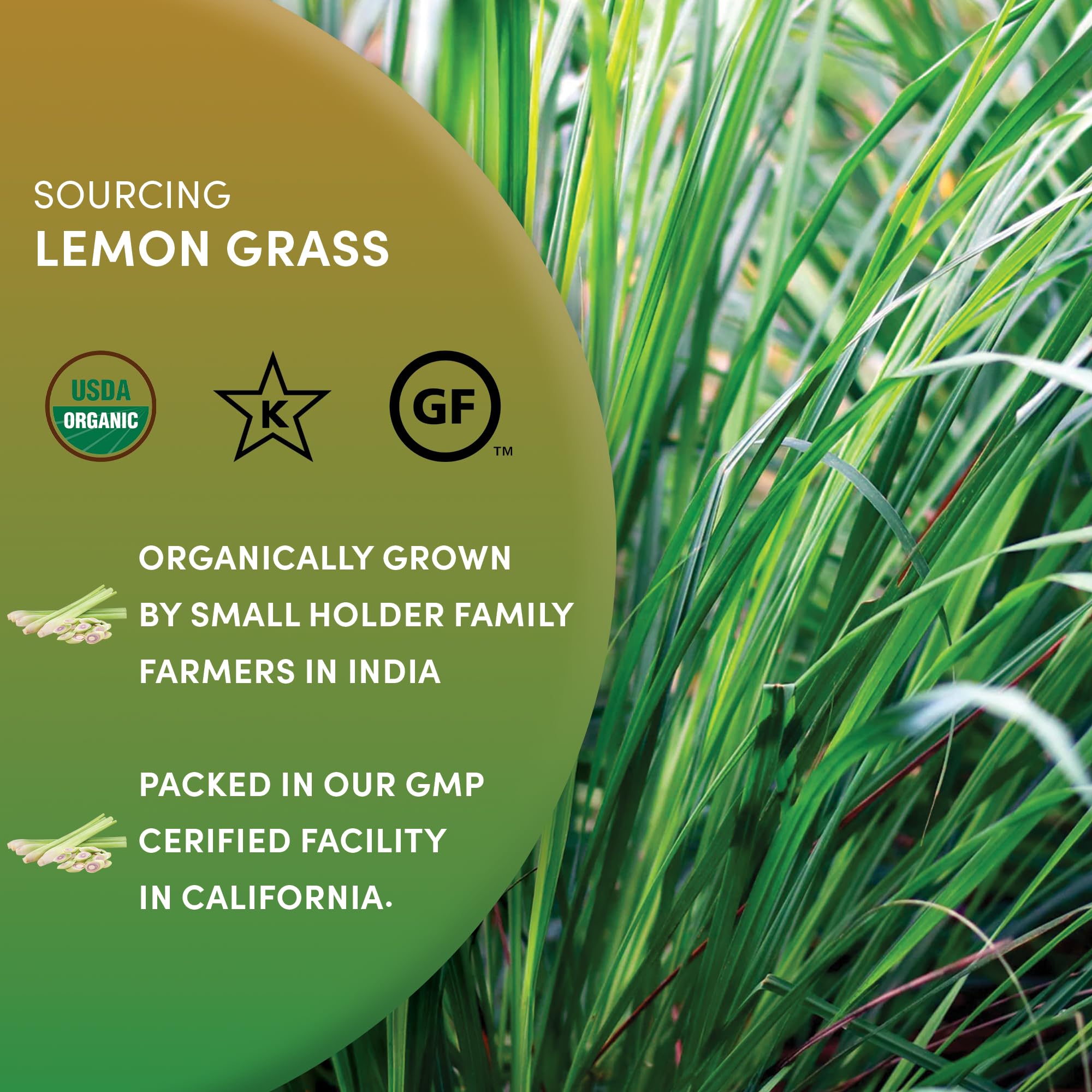 Worldwide Botanicals Lemongrass leaves add bright citrus notes to dishes.