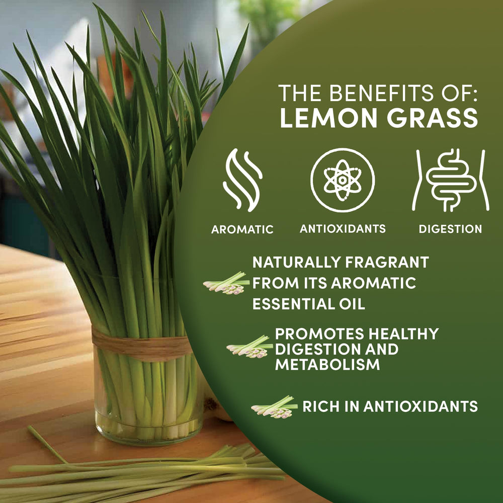 Worldwide Botanicals Lemongrass tea in cup releasing bright citrus aroma.