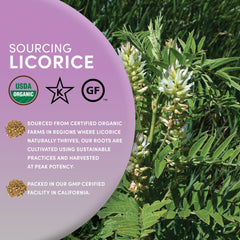 Worldwide Botanicals licorice root raw roots close-up for vibrant infusions.