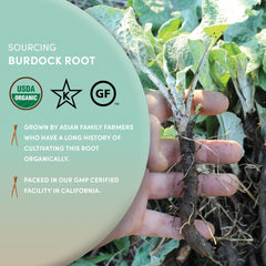 Worldwide Botanicals sustainably sourced burdock root from Asian family farms.