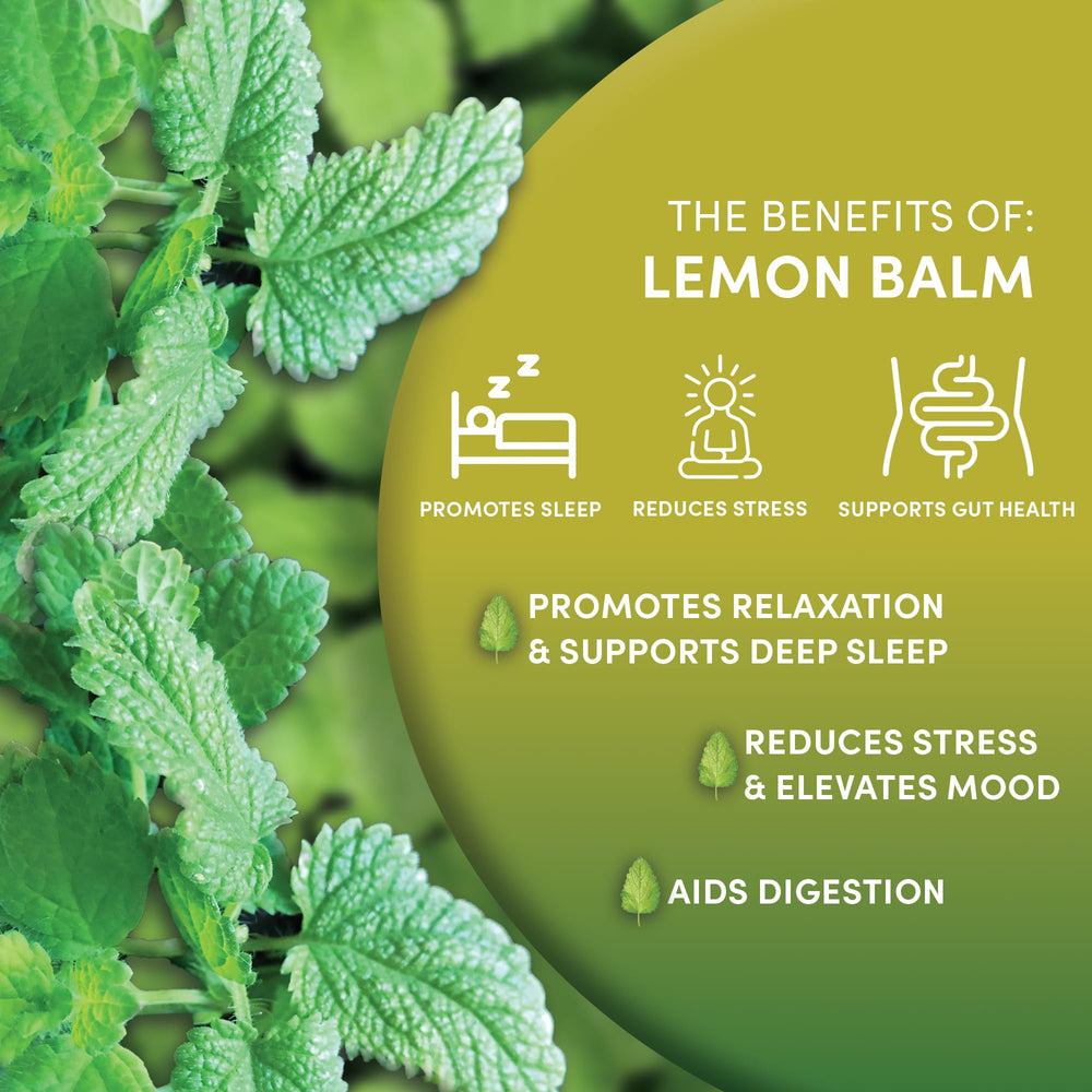 Closeup of 100% pure lemon balm leaves for Worldwide Botanicals tea