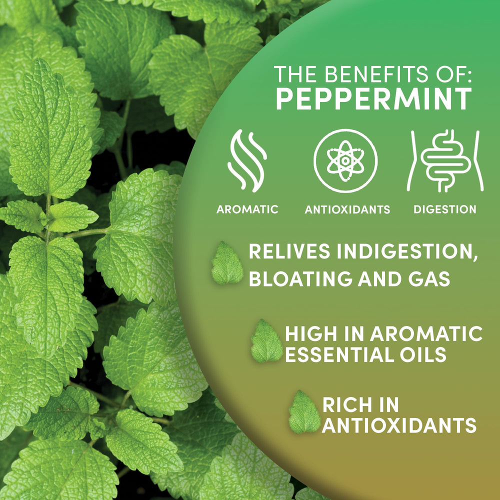 Worldwide Botanicals peppermint tea brewing in a mug with rich aroma.